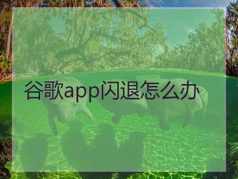 谷歌app闪退怎么办