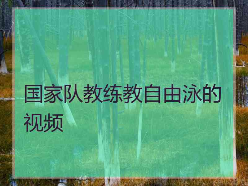 国家队教练教自由泳的视频