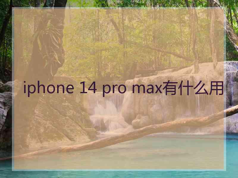 iphone 14 pro max有什么用