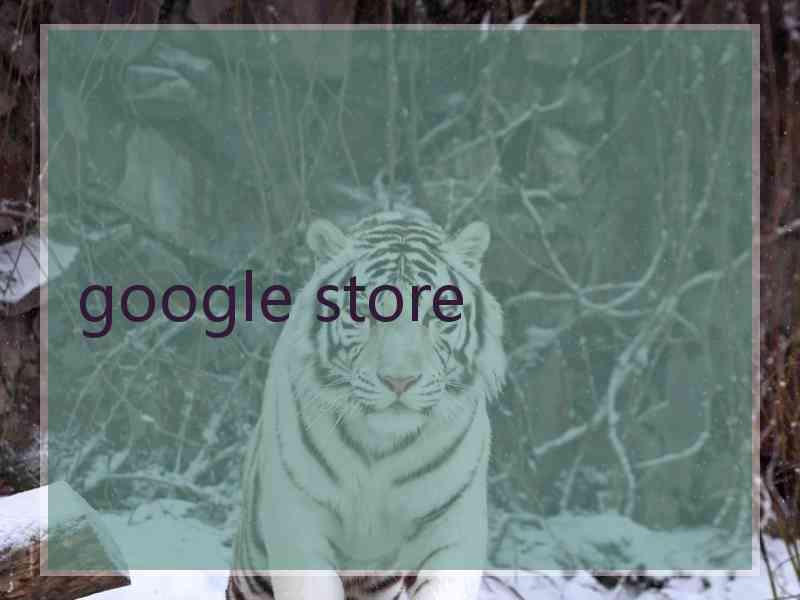 google store