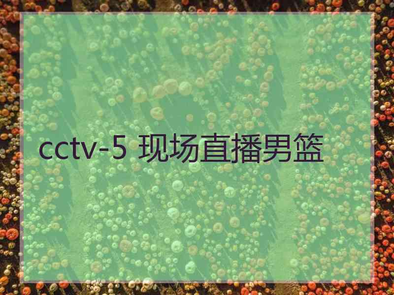 cctv-5 现场直播男篮