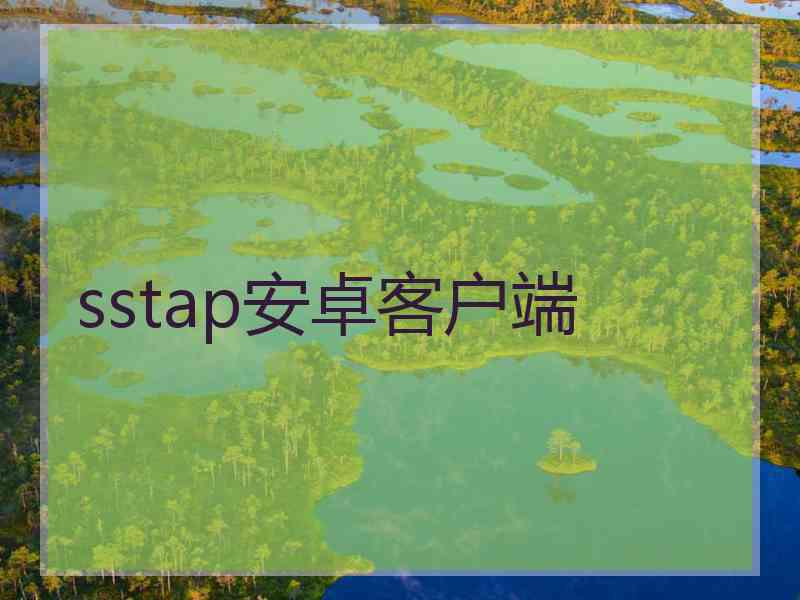 sstap安卓客户端