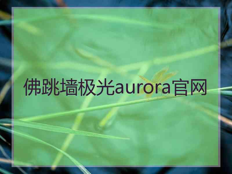 佛跳墙极光aurora官网