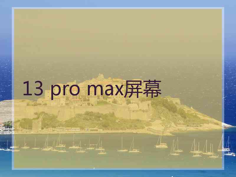 13 pro max屏幕