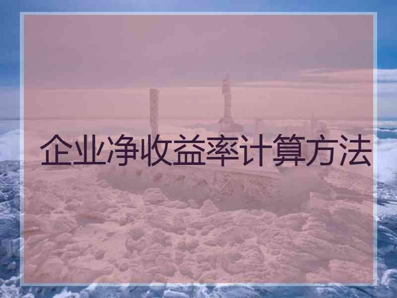 企业净收益率计算方法