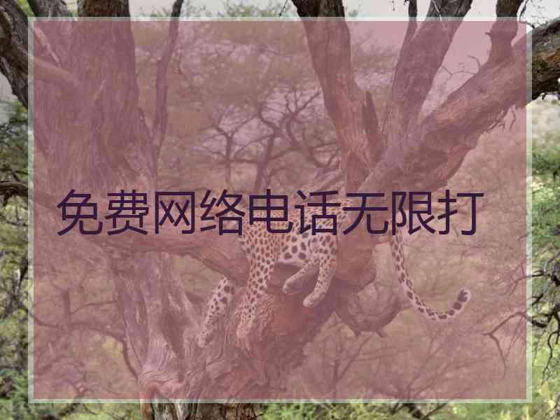 免费网络电话无限打