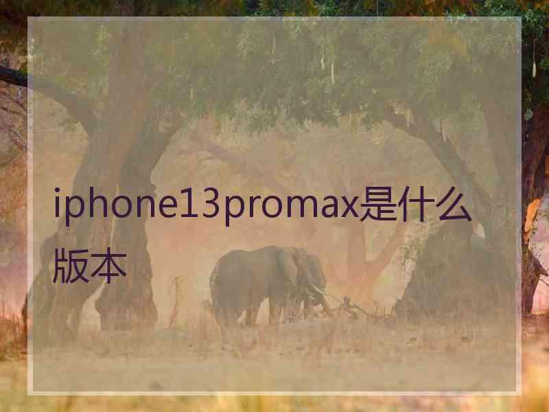 iphone13promax是什么版本