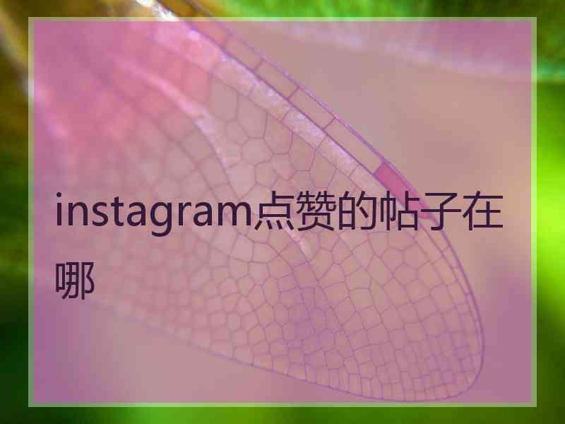 instagram点赞的帖子在哪