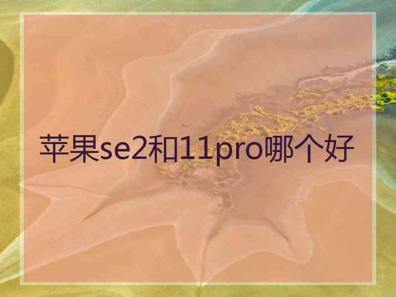 苹果se2和11pro哪个好