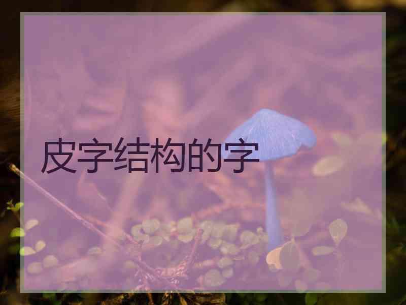 皮字结构的字