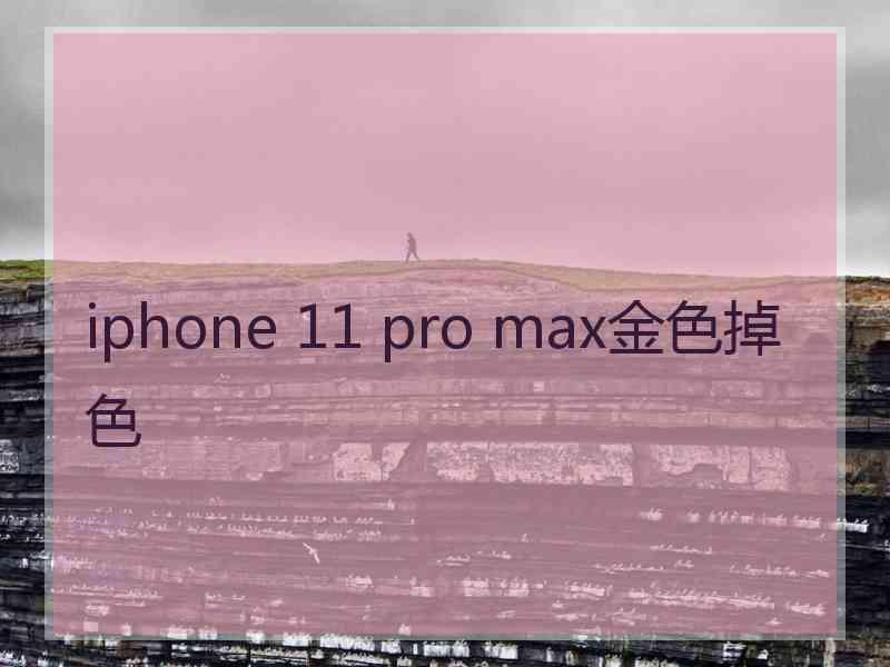 iphone 11 pro max金色掉色