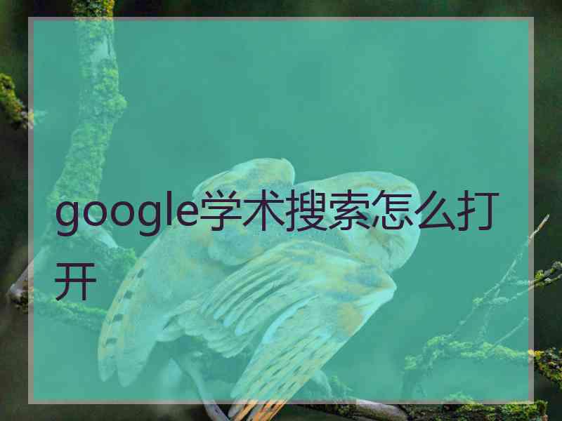 google学术搜索怎么打开