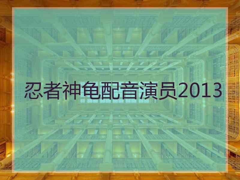 忍者神龟配音演员2013