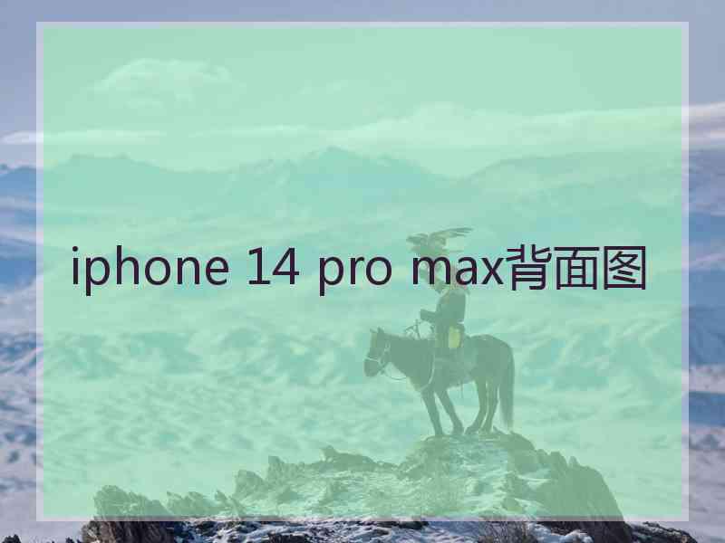 iphone 14 pro max背面图