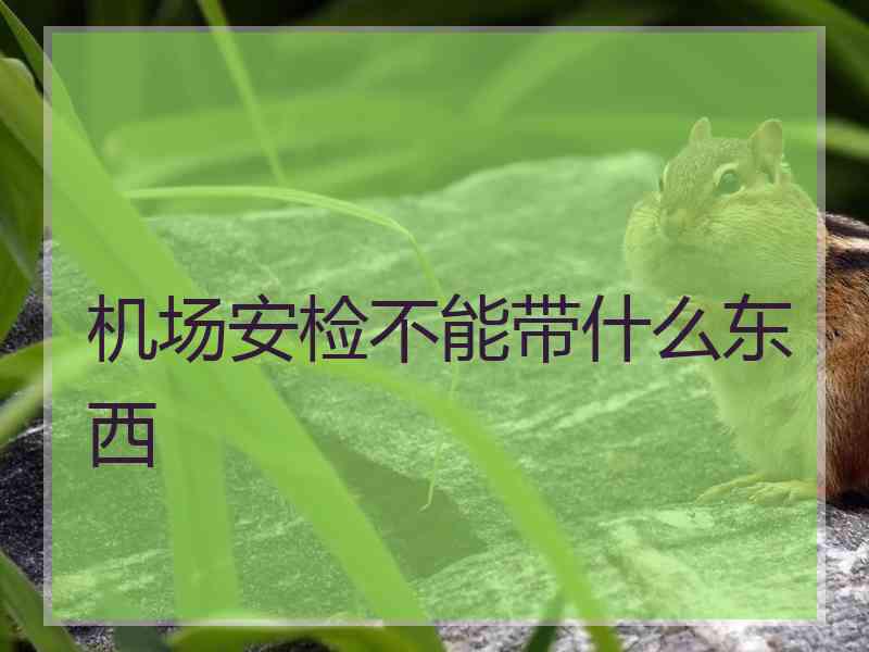 机场安检不能带什么东西