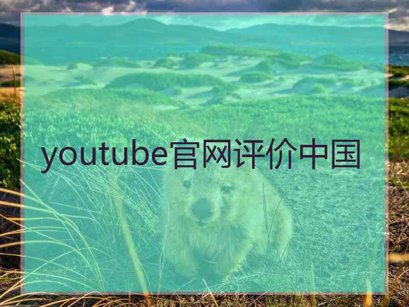 youtube官网评价中国