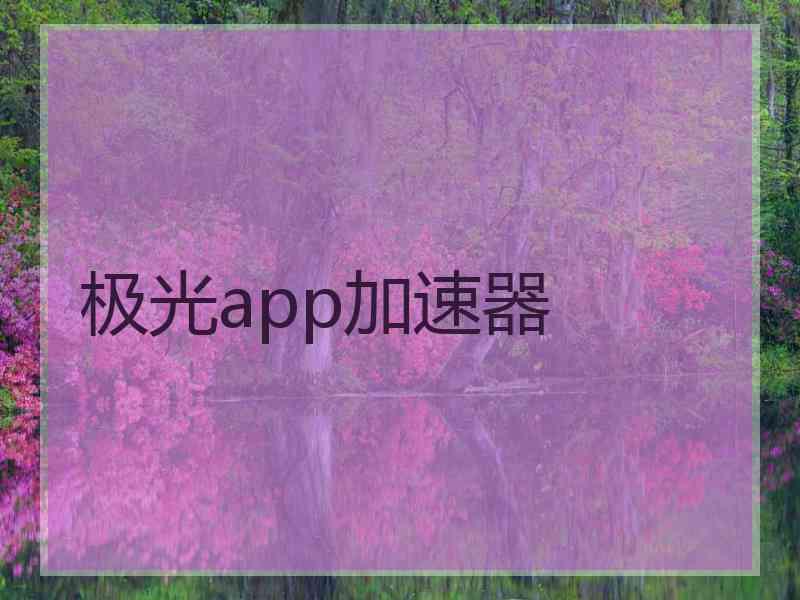 极光app加速器