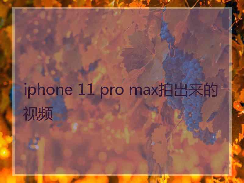 iphone 11 pro max拍出来的视频