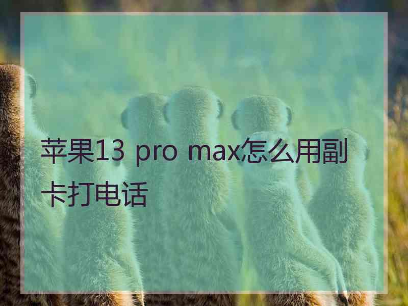 苹果13 pro max怎么用副卡打电话