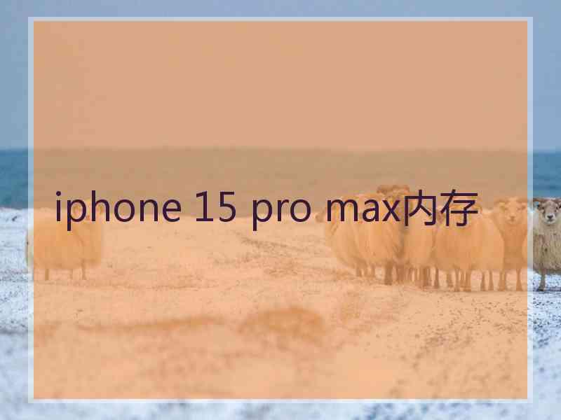 iphone 15 pro max内存