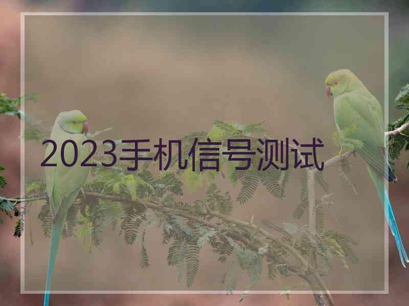 2023手机信号测试