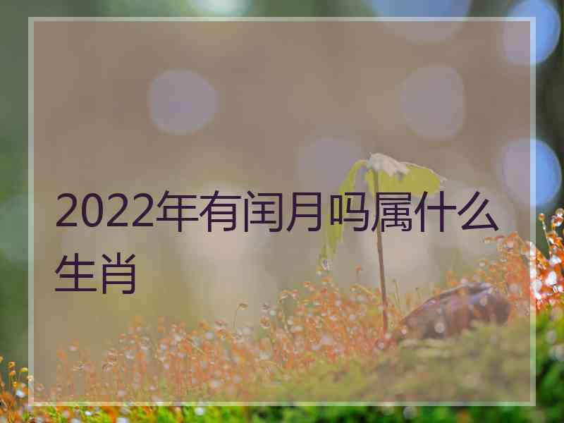 2022年有闰月吗属什么生肖