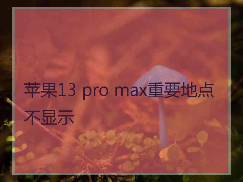 苹果13 pro max重要地点不显示