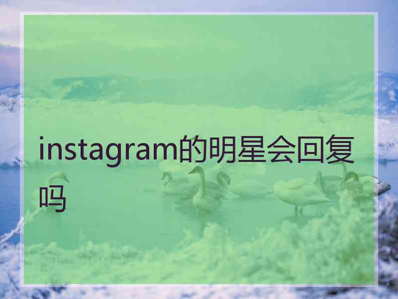 instagram的明星会回复吗