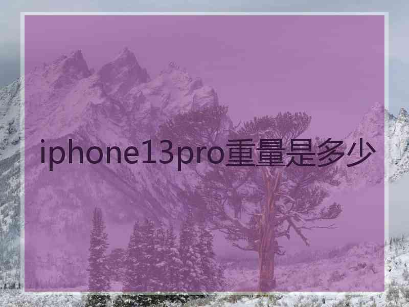 iphone13pro重量是多少