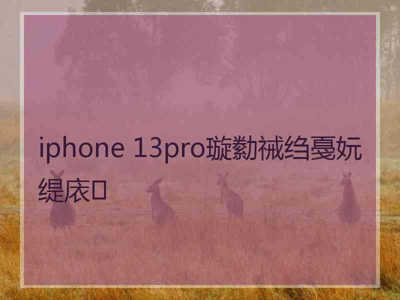 iphone 13pro璇勬祴绉戞妧缇庡