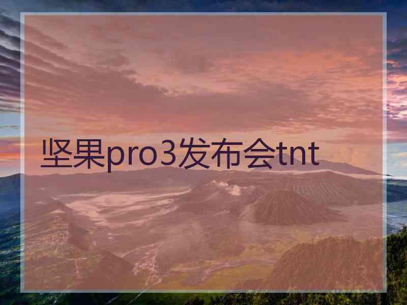 坚果pro3发布会tnt