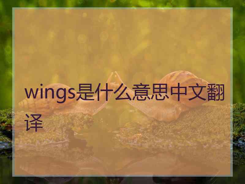 wings是什么意思中文翻译