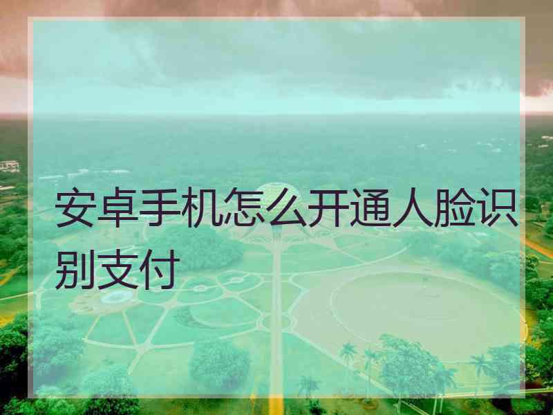 安卓手机怎么开通人脸识别支付