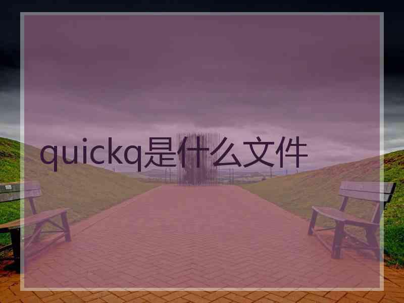 quickq是什么文件