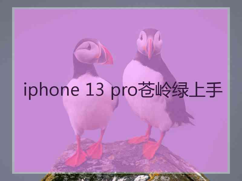 iphone 13 pro苍岭绿上手