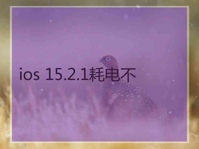 ios 15.2.1耗电不