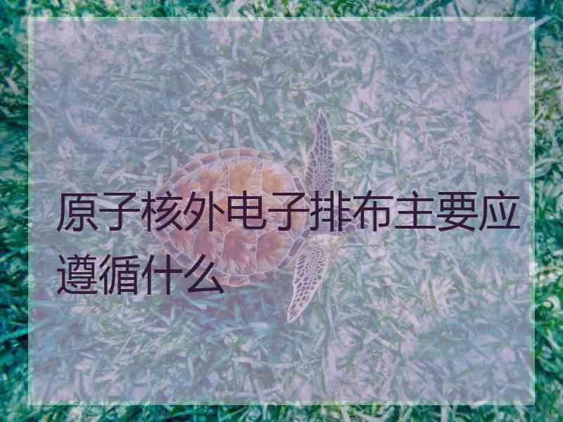 原子核外电子排布主要应遵循什么