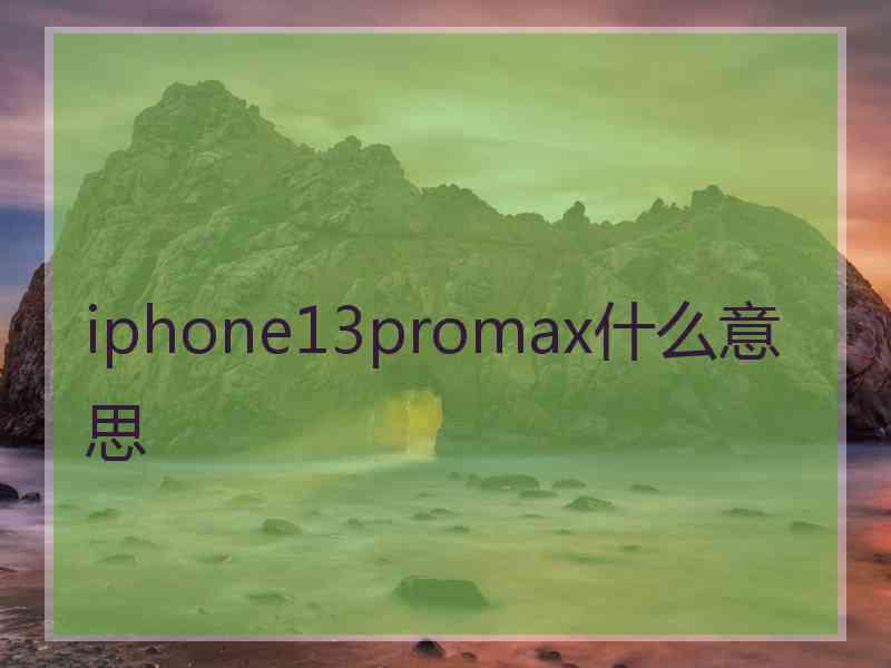 iphone13promax什么意思