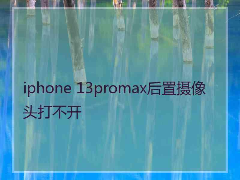 iphone 13promax后置摄像头打不开