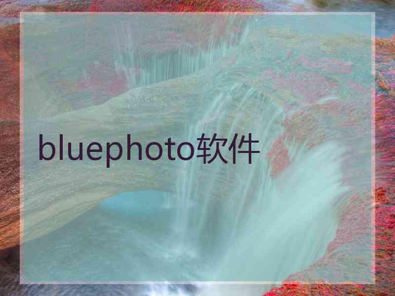 bluephoto软件