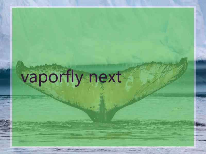 vaporfly next