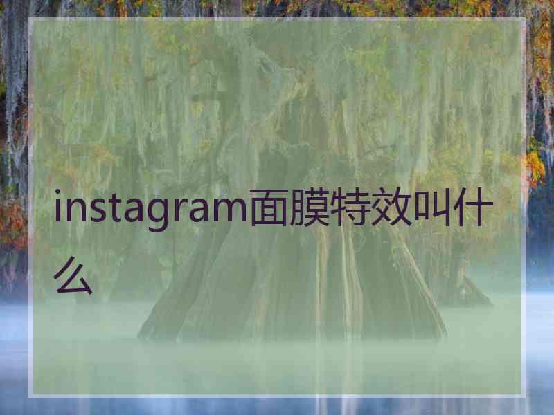 instagram面膜特效叫什么