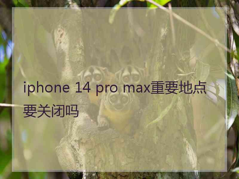 iphone 14 pro max重要地点要关闭吗