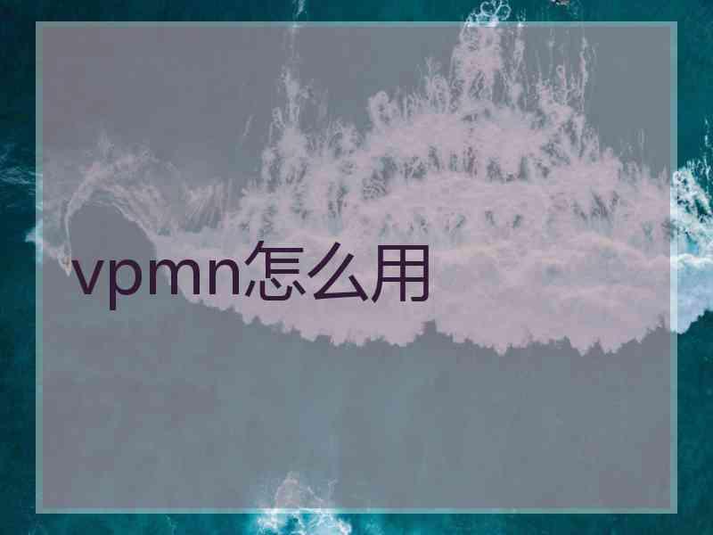 vpmn怎么用