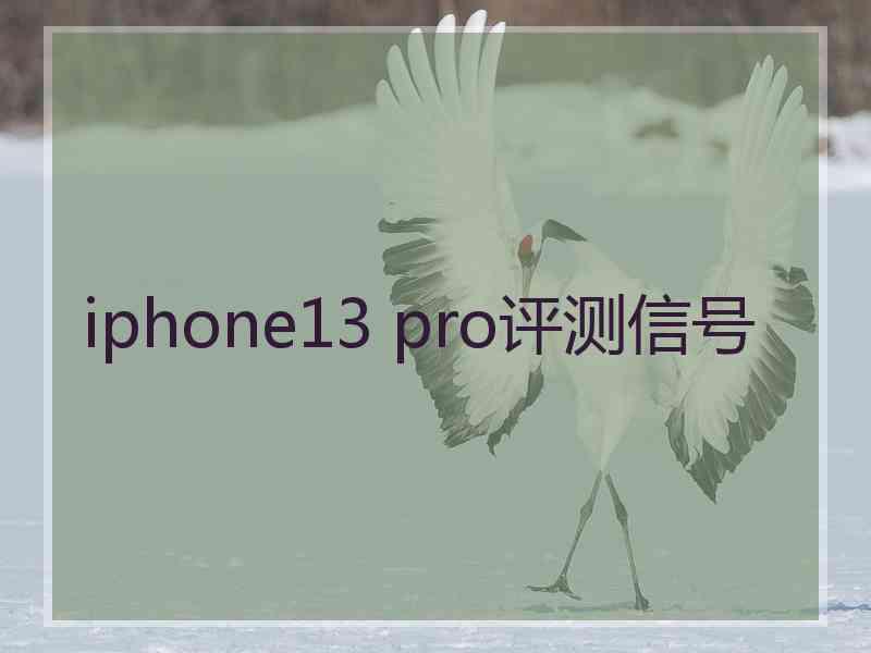 iphone13 pro评测信号