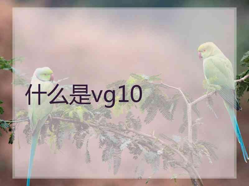 什么是vg10