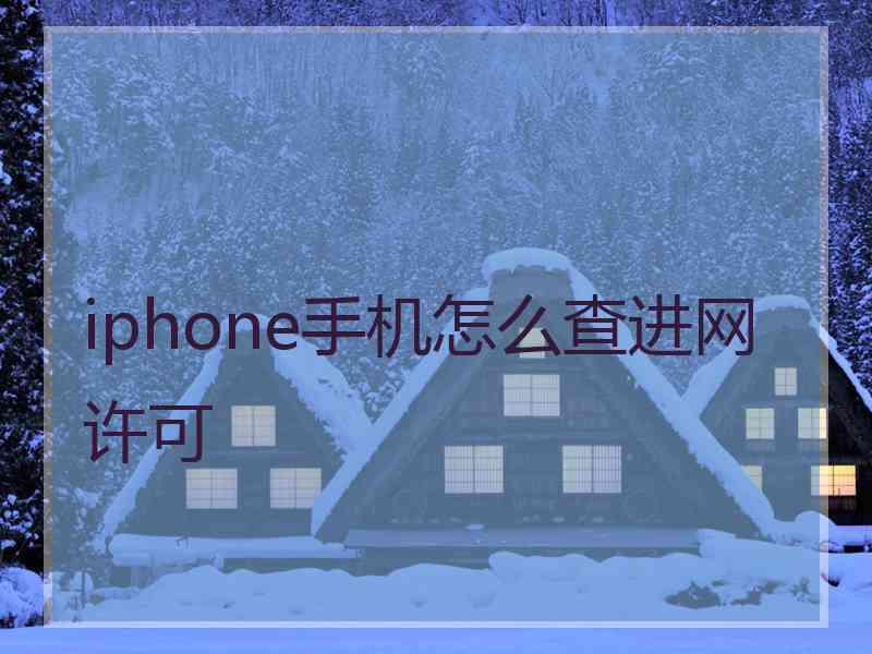 iphone手机怎么查进网许可