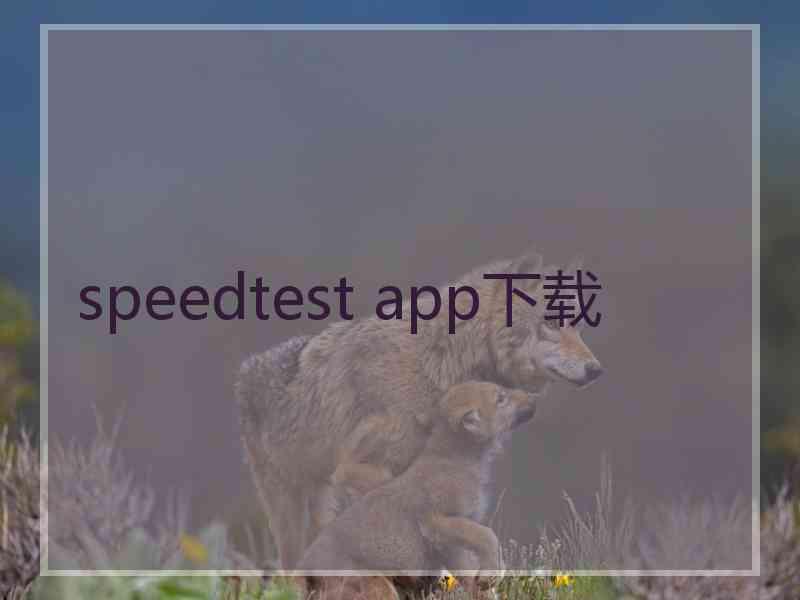 speedtest app下载