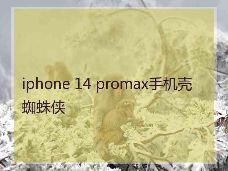 iphone 14 promax手机壳蜘蛛侠