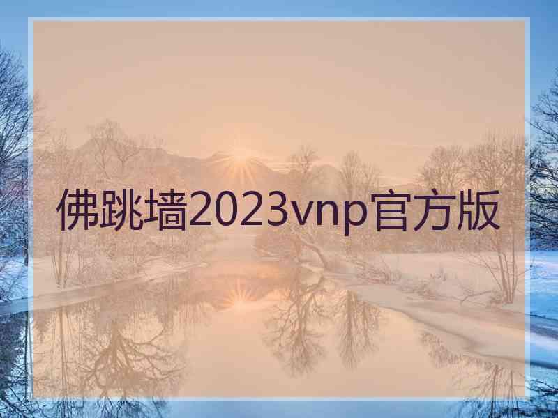 佛跳墙2023vnp官方版